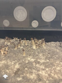 Thoughts? 6993d1e8b0b11