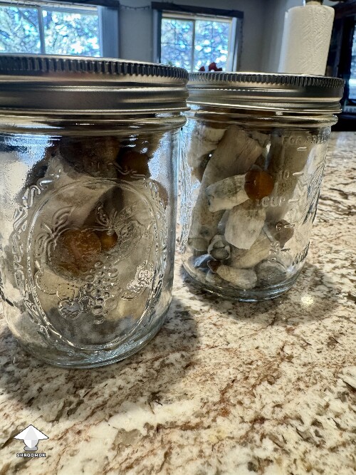 Thoughts (continued) from Dinogal 699a19fd7a62a