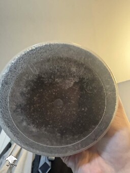 First time grower, slow rough experience. Unsure if this is okay or not 699f50dc2abbd