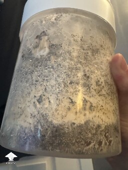 First time grower, slow rough experience. Unsure if this is okay or not 699f50dd364e0