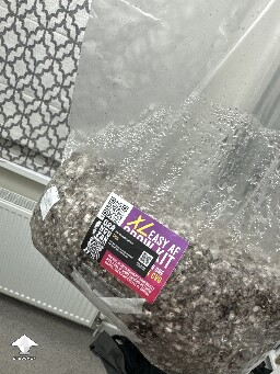 Grow bag 699f32ba8ff74