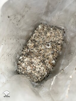 Grow bag 69caa6c557c87