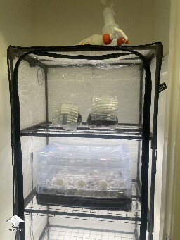 HELLLLLLPPPPPPPPPPPP 69caa1ce45c31