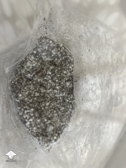 Grow bag 69caa797c2607