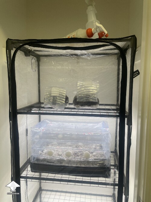 Thumbnail: HELLLLLLPPPPPPPPPPPP 69caa1ce45c31