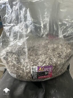 Grow bag 69cbd4b0b7767