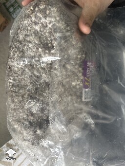 Grow bag 69cbd4b38f68c