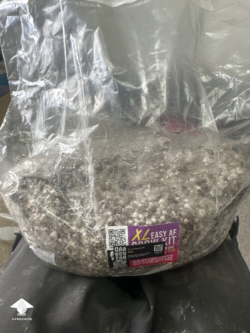 Grow bag 69cbd4b0b7767