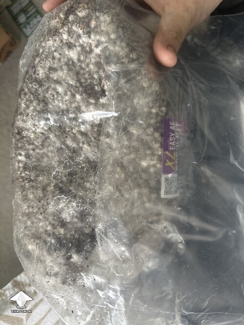 Grow bag 69cbd4b38f68c