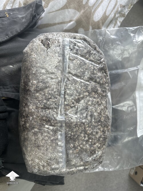 Grow bag 69cbd4b66a65f