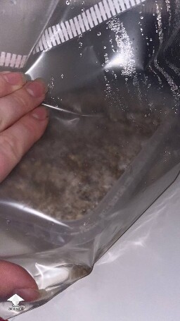 Dry and conaminated? 69d0bf6d45418