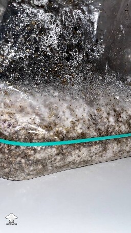 Dry and conaminated? 69d0bf6e87c3f