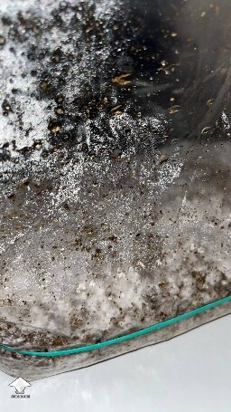 Dry and conaminated? 69d0bf6f57b77