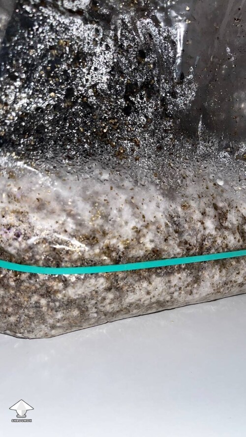 Thumbnail: Dry and conaminated? 69d0bf6e87c3f