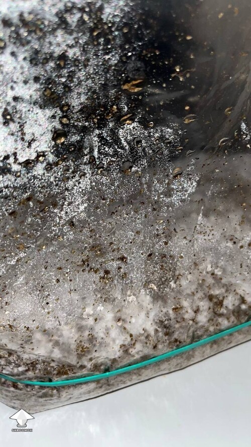 Thumbnail: Dry and conaminated? 69d0bf6f57b77