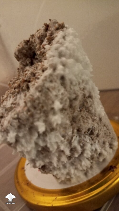 Thumbnail: day 7. what's going wrong? 69d74c96c8166