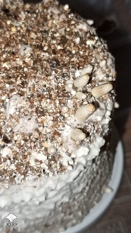 pin status 69e0bb5b0a6b4