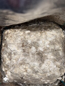 No pins after 15 days and maybe contam? 69e91f638797e