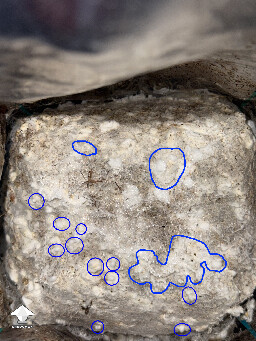 No pins after 15 days and maybe contam? 69eb52411540e