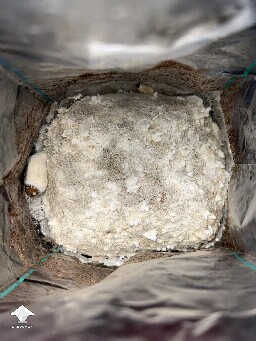 No pins after 15 days and maybe contam? 69fae003e7600