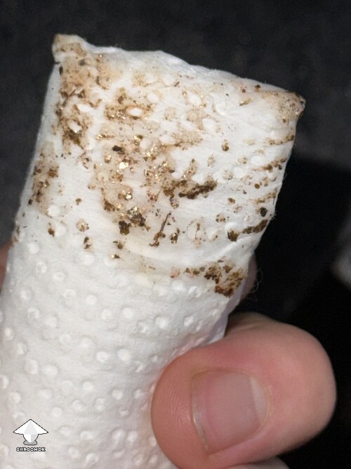 No pins after 15 days and maybe contam? 69fb953c55bc5