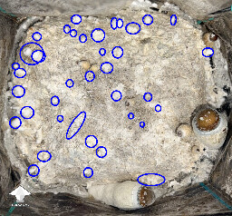 No pins after 15 days and maybe contam? 6a05880260e20
