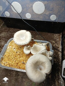 Does this look right? 6a19b4a596f62