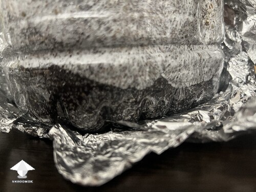 Uncolonised chunk, no pins. 6a291082afa18