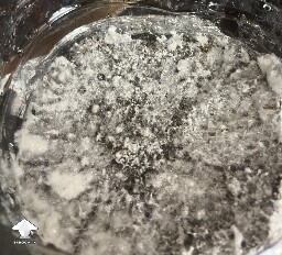 Uncolonised chunk, no pins. 6a2aa268ed905