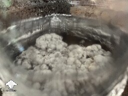 Uncolonised chunk, no pins. 6a2cff31cb045