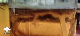 Is this contamination? 6a3b8f88148a6