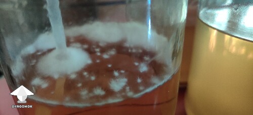 Thumbnail: Is this contamination? 6a3b8f8994250