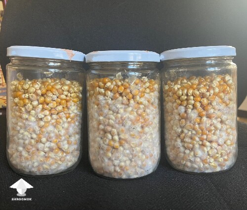 Thumbnail: Popcorn jar. Contamination? 6a50c64117e8c