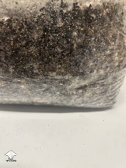 Is this bacterial contamination? 6a55090abbf53