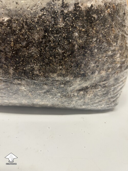 Thumbnail: Is this bacterial contamination? 6a55090abbf53