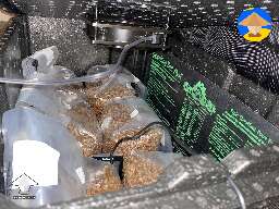 Incubator for mushroom growing - grain spawn colonization #2