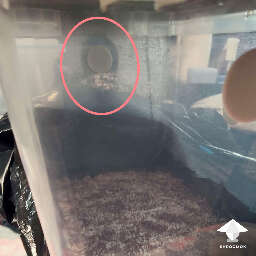 Signs of natural air flow in monotub