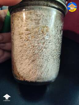 Some mycelium metabolites