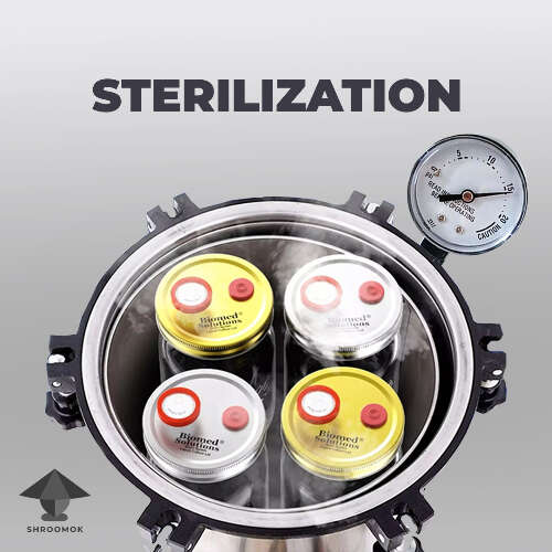 Sterilization