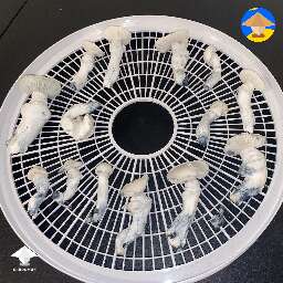 Avery's Albino harvest (Bottle Tek)