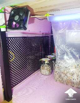 Fan in incubator to ensure uniform temperature throughout the chamber