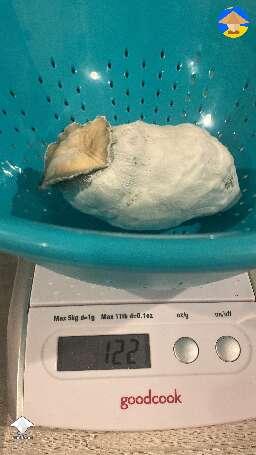 I finally got into the 100g club 🎃 thank you Bluey Vuitton - 122g