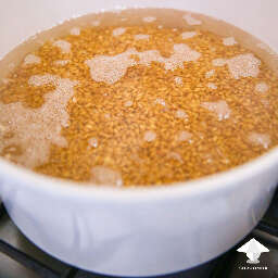 How to prepare grain for magic truffles growing
