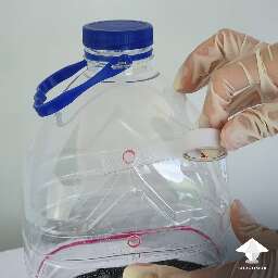Close bottle holes for colonization period