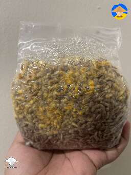 Please help is this contam? Why did this one turn yellow
