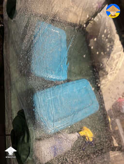Still air box for home mycology