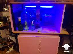 How to make automatic incubation chamber for mycology
