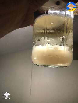 LC should be almost clear. This is about 4 months old