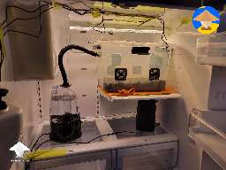 Monotub in my fridge tek - details in description