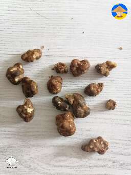 Valhalla magic truffles